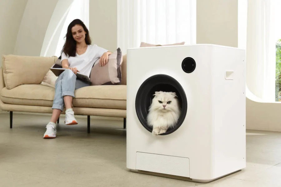 best litter box for two cats