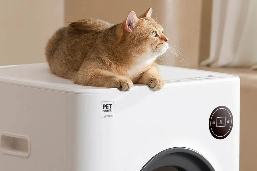 no odor litter box