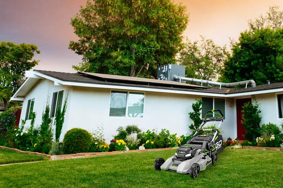 best cordless lawn